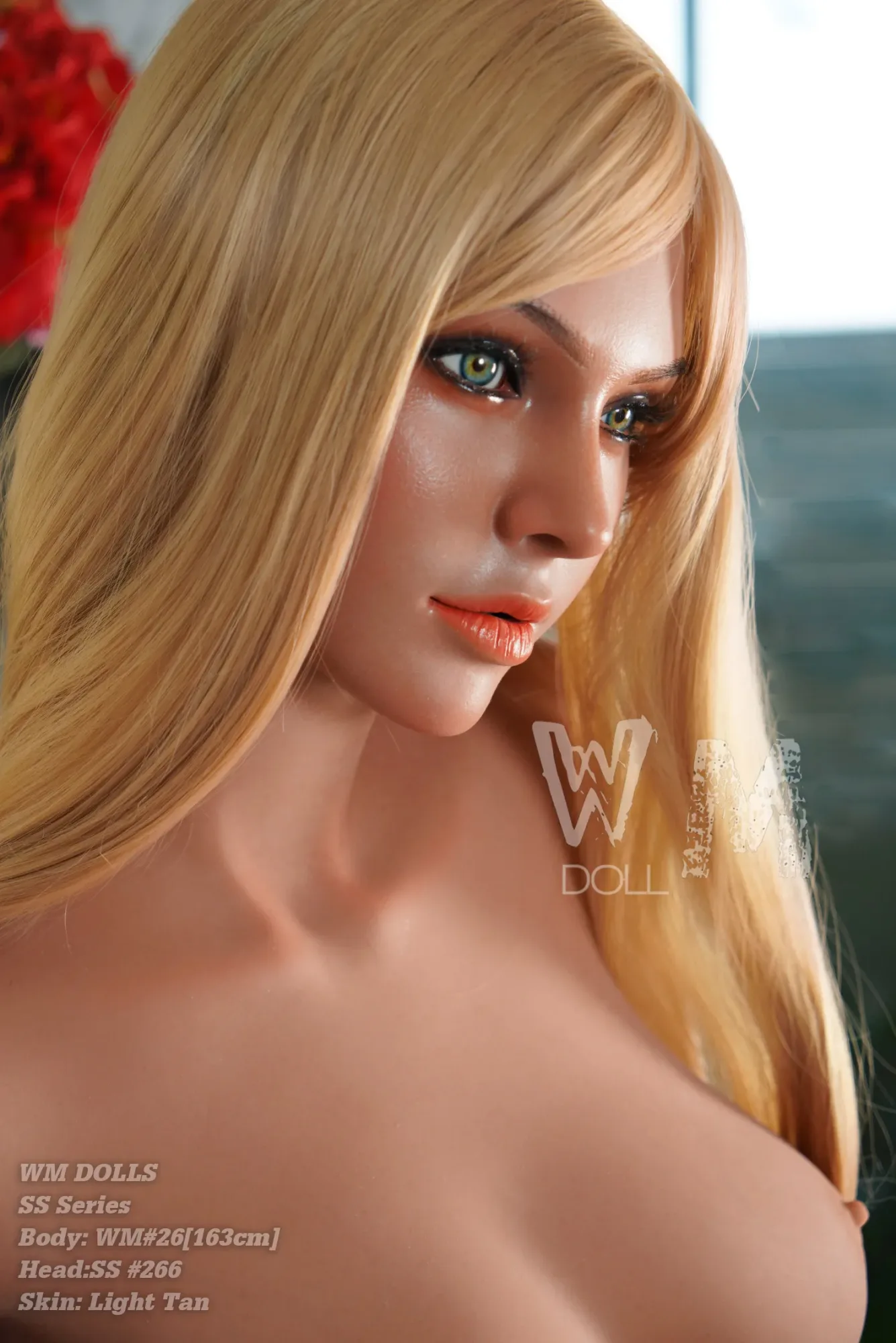 WM | Jessi-5ft4/163cm D-Cup ROS Silicone Head S-TPE Body Sex Doll view 5