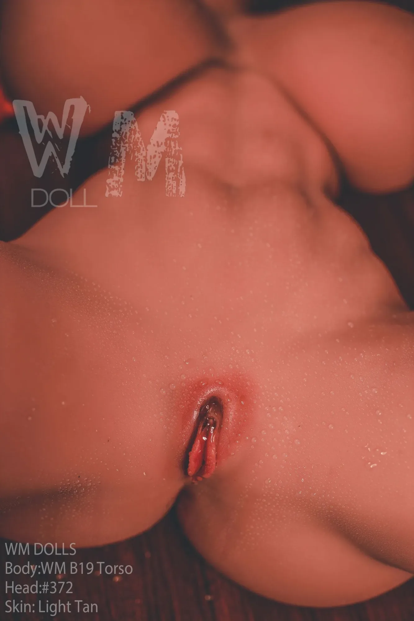 WM | Remy 2ft 4/ 70cm Torso Sex Doll view 5