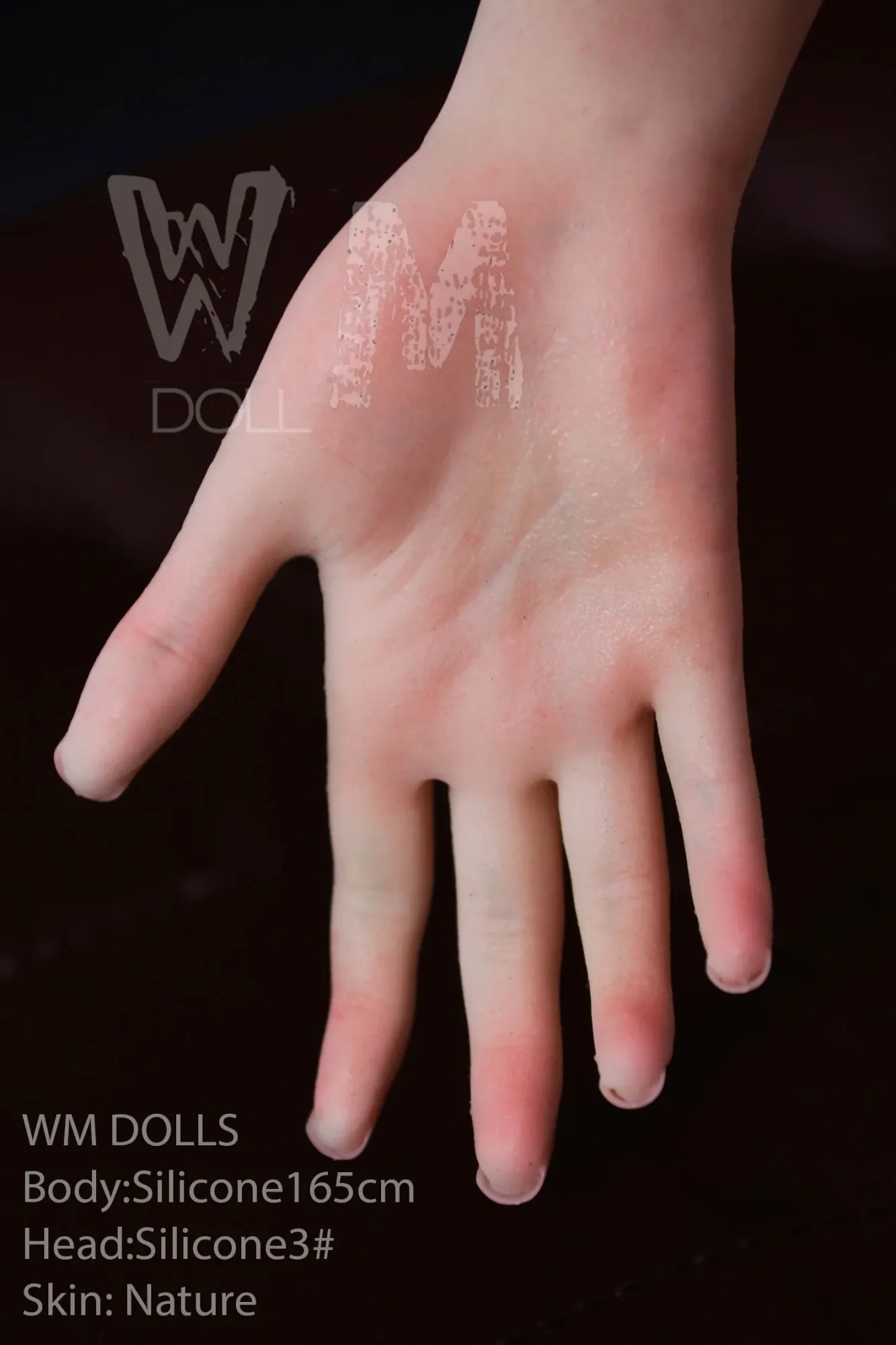 WM | Wendi 5ft 5/ 165cm Full Silicone Sex Doll view 6