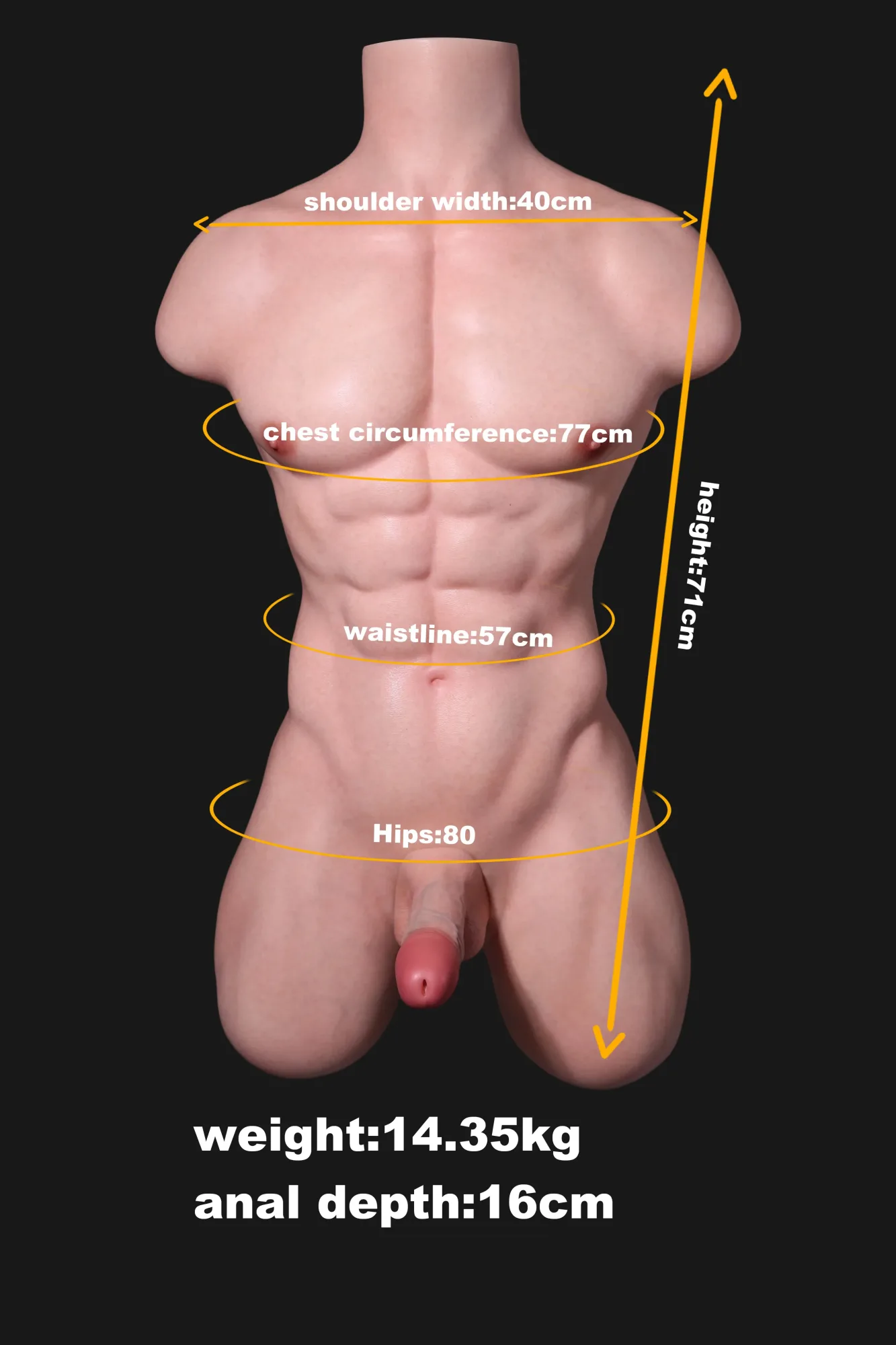 Arcana | Jason - 3ft 2/96cm Realistic Male Silicone Sex Torso (With Head) view 3